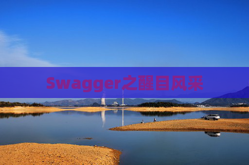 Swagger之醒目风采